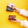 The new small card wallet for women is exquisite, high-end, compact, multi-slot, light luxury, and a niche design with crocodile pattern. It is a bestseller Application Scenario